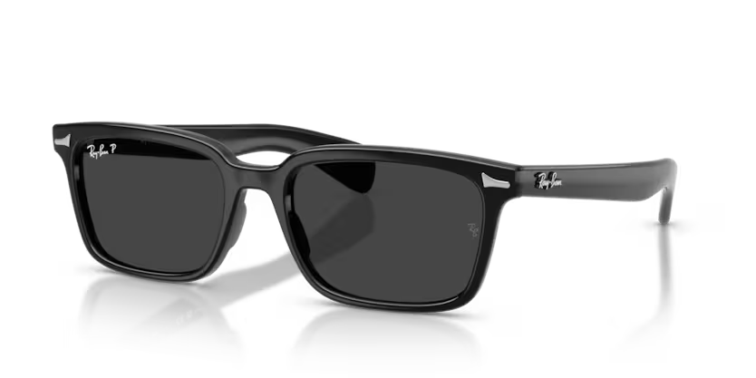 Ray-Ban Brunel Sunglasses