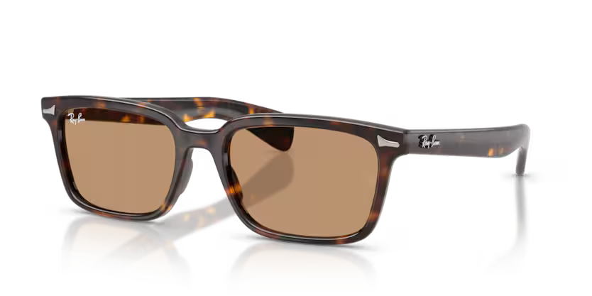 Ray-Ban Brunel Sunglasses