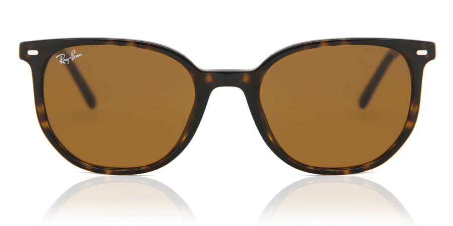 Ray-Ban Elliot Sunglasses