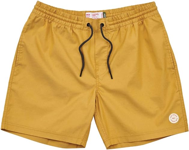 Globe Clean Swell Poolshort