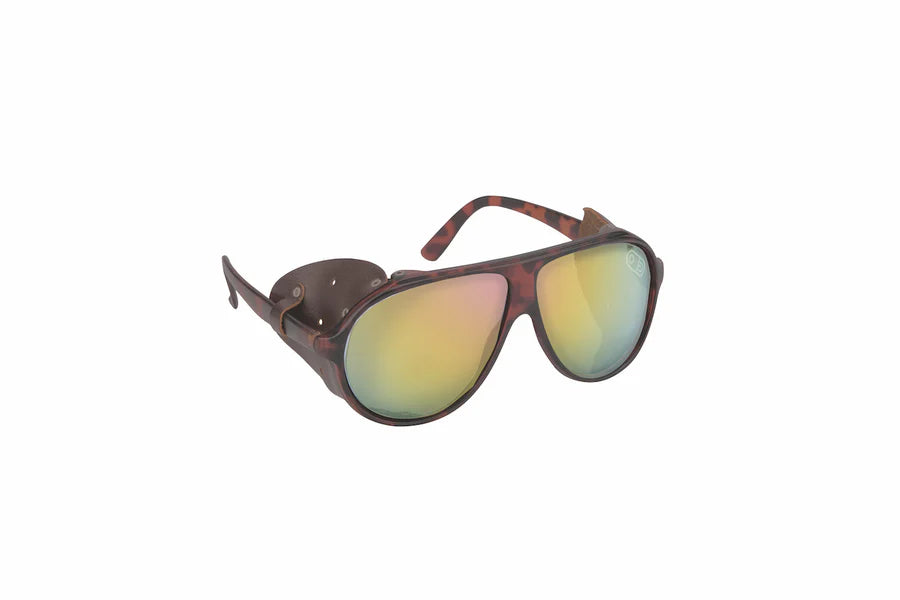 Airblaster Polarised Glacier Glasses