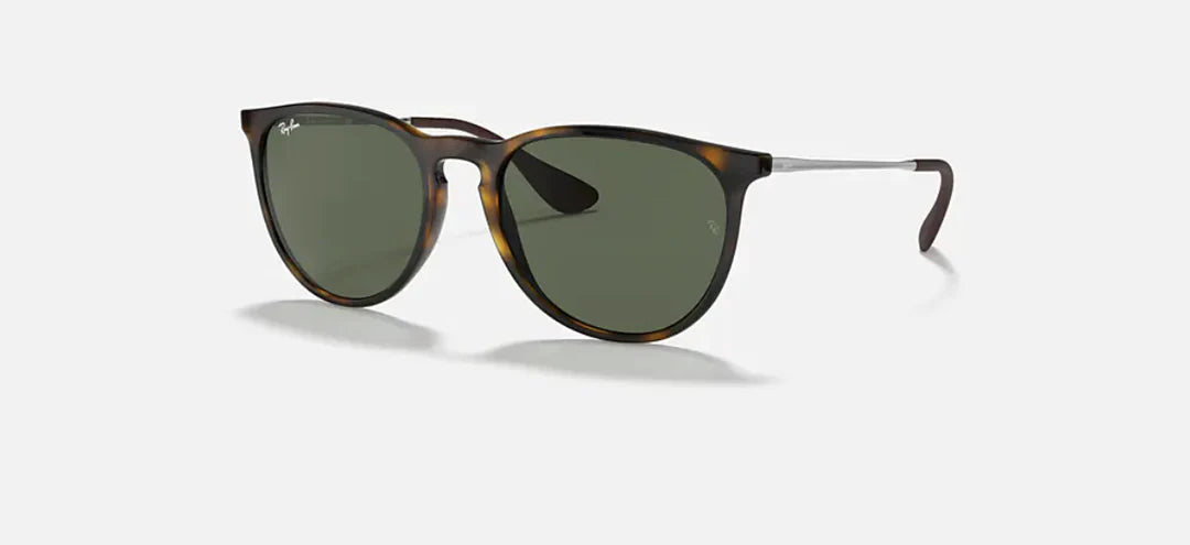 Ray-Ban Erika Sunglasses