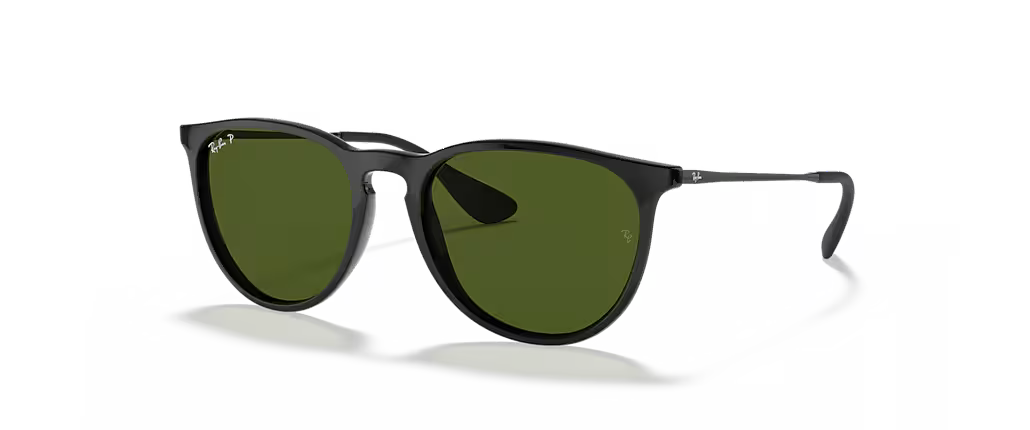 Ray-Ban Erika Sunglasses