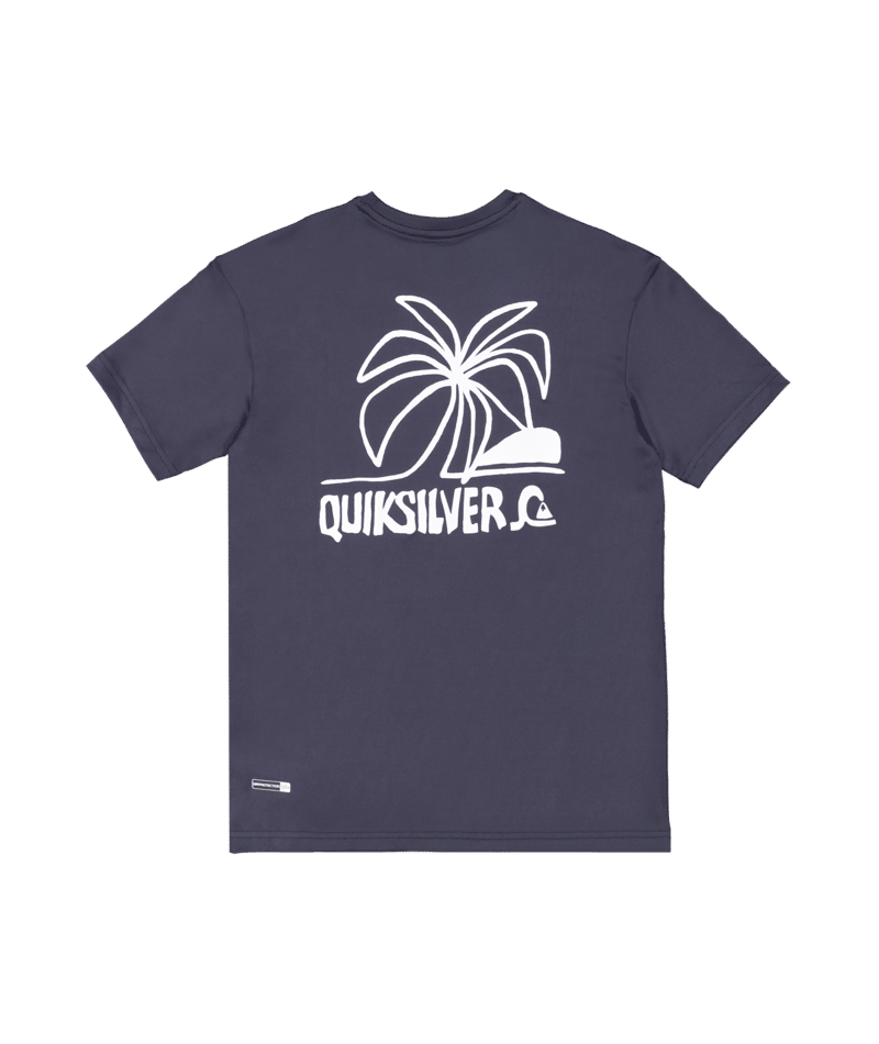 Quiksilver Everyday Shortsleeve Youth Surf Tees