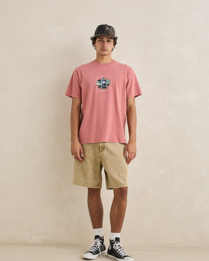 Rhythm Toby Denim Shorts